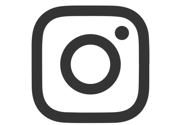 logo ig